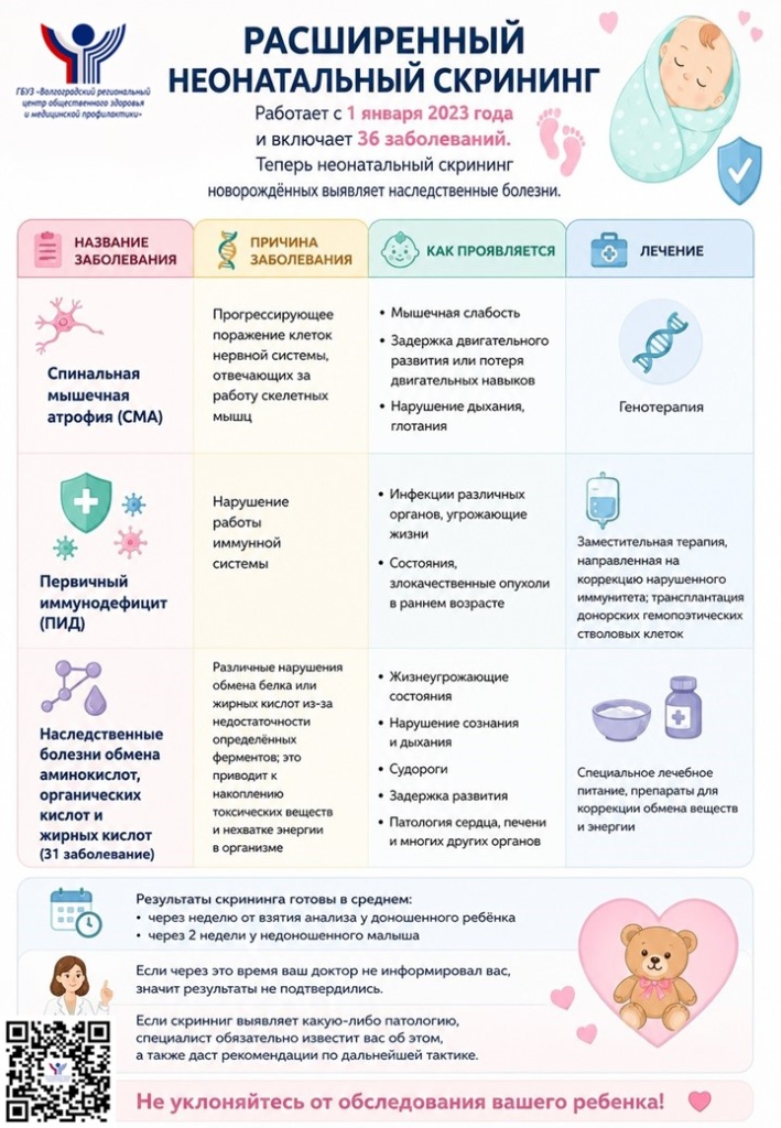 нсн222.jpg нсн222.jpg